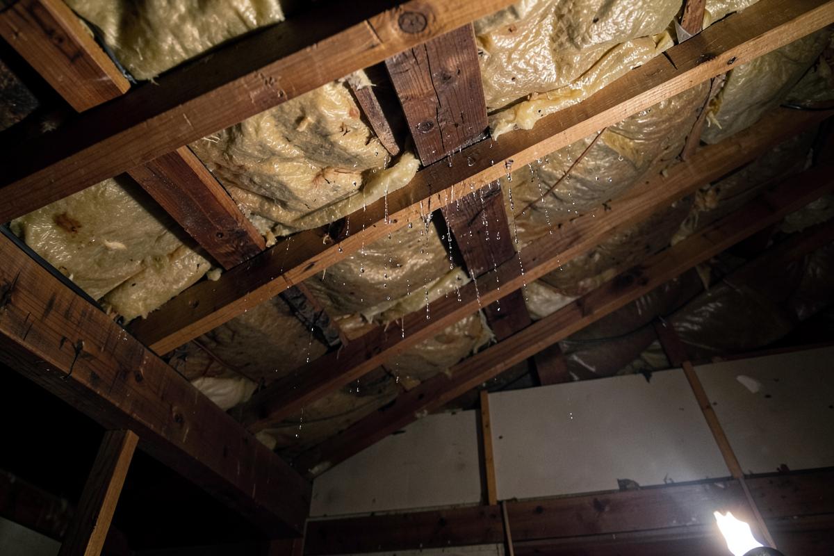 Condensation droplets on roof timbers and underlay inside a loft