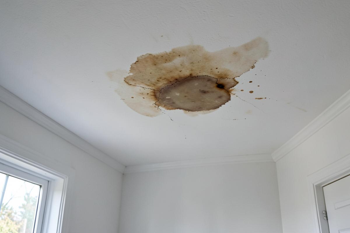 Brown water stain spreading across a white interior ceiling